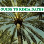Guide to Kimia Dates