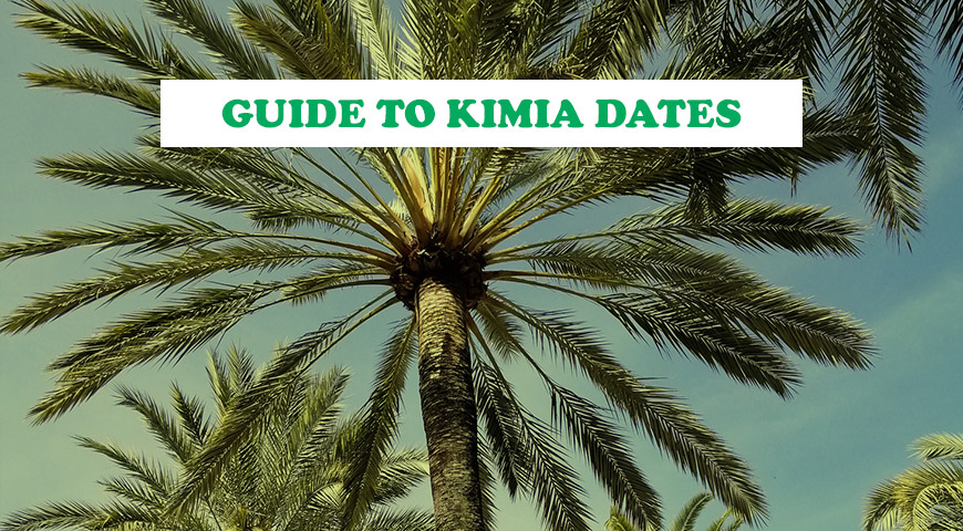 Guide to Kimia Dates